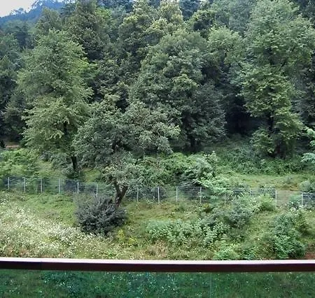 Apartament Tampa Gardens Apartment Brasov